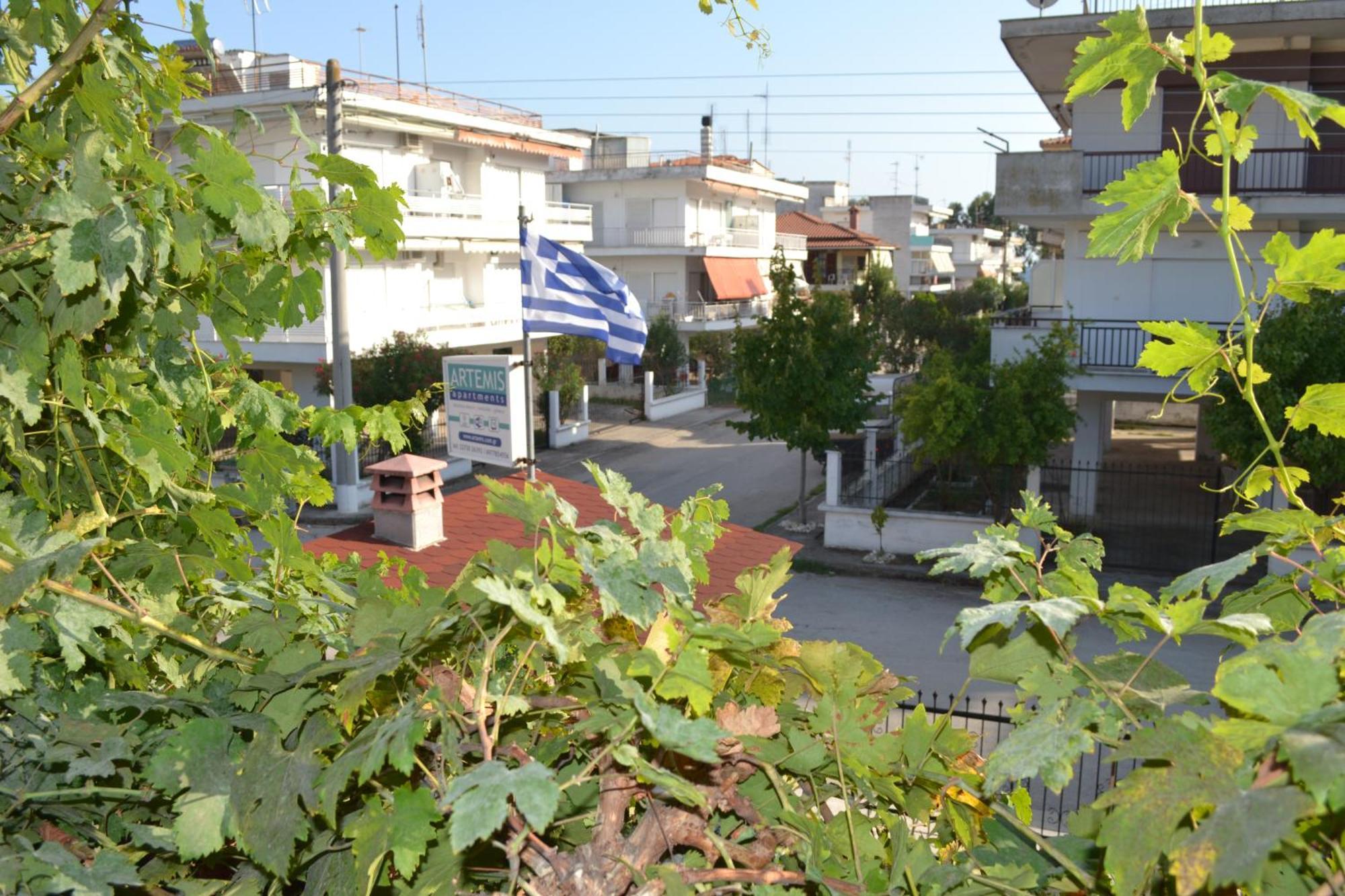 Artemis Apartments باراليا ديونيسيو الغرفة الصورة